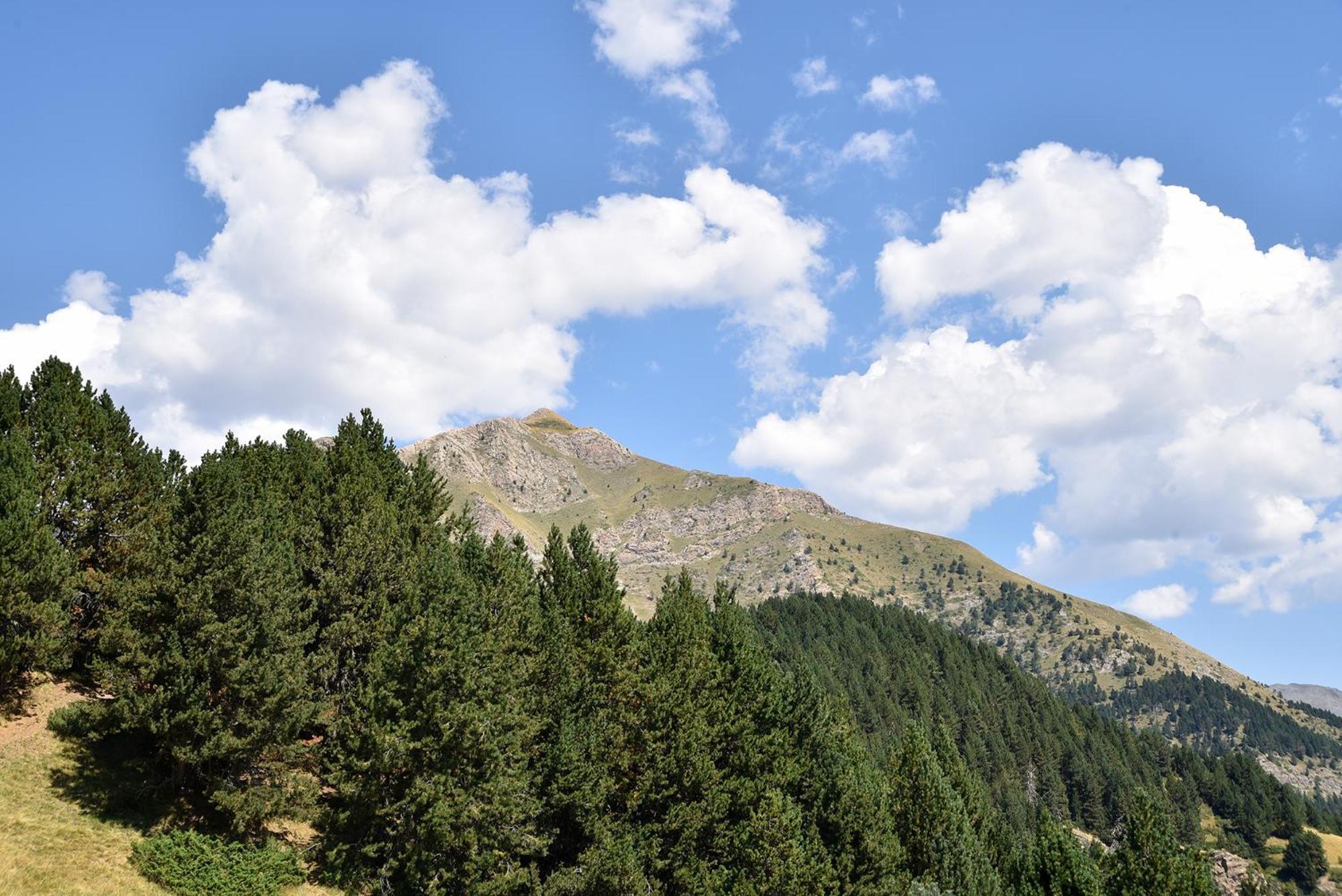 Готель Nh Collection Andorra Palome Erts Екстер'єр фото
